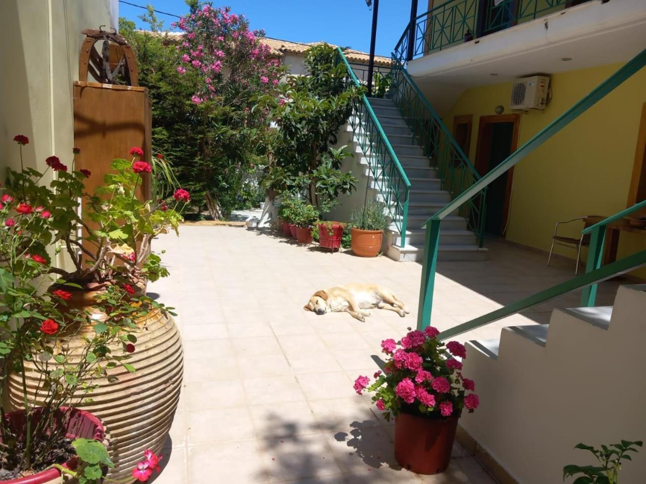 Kalamítsi Lenia Studios מראה חיצוני תמונה