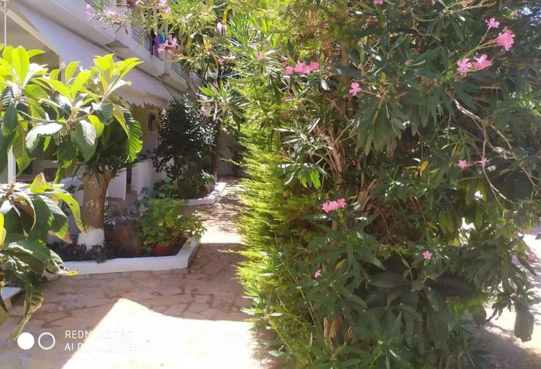 Kalamítsi Lenia Studios מראה חיצוני תמונה